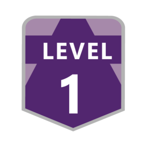 Level 1