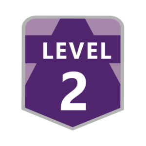Level 2